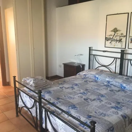 Ricci * بيزارو