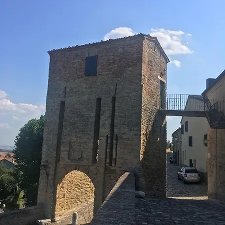 Ricci