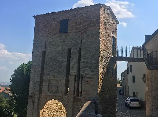 Ricci